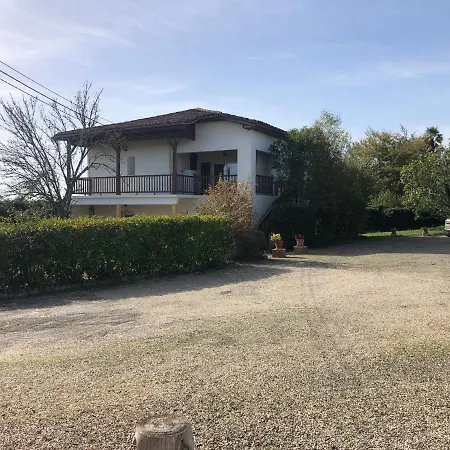 Le Colibri * 巴布通莱班