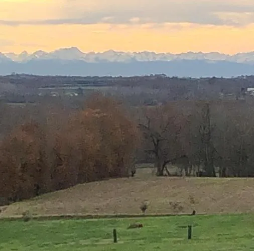 公寓 Le Colibri 巴布通莱班