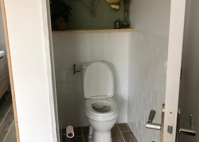 Le Colibri * 巴布通莱班